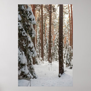 Skog på vintern poster