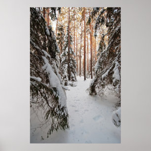 Skog på vintern poster