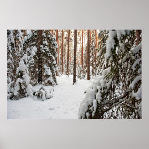 Skog på vintern poster