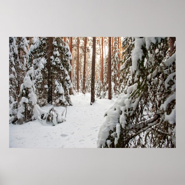 Skog på vintern poster (Framsidan)