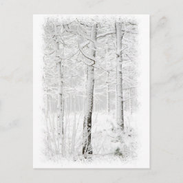 Skog på vintern vykort