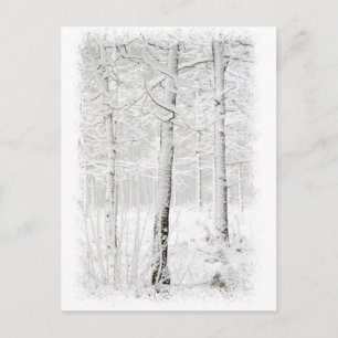 Skog på vintern vykort
