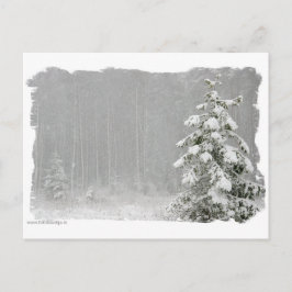 Skog på vintern vykort