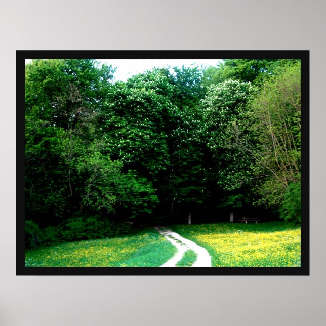 Skog Poster (Framsidan)