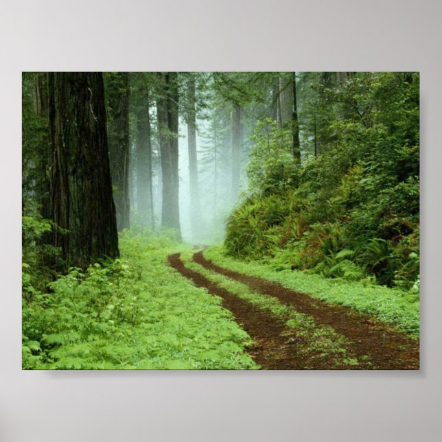 Skog Poster (Framsidan)