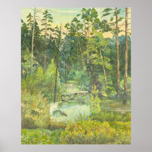 skog poster (Framsidan)