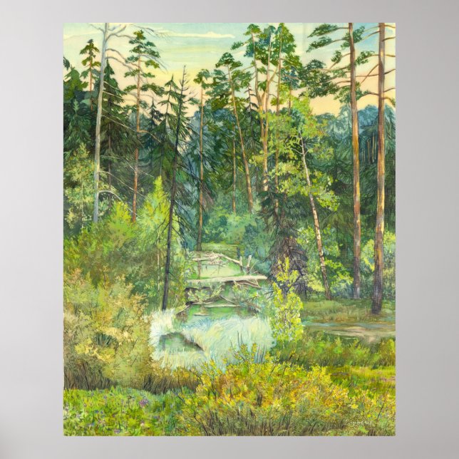 skog poster (Framsidan)