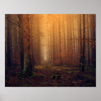 Skog Poster
