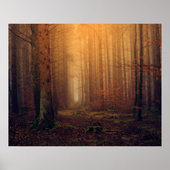 Skog Poster (Framsidan)