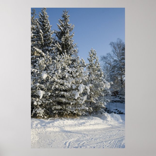 Skog Poster (Framsidan)