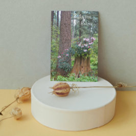 Skog Rhododendrons Blommig Pensioneringskort Kort