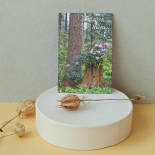 Skog Rhododendrons Blommig Pensioneringskort Kort