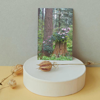 Skog Rhododendrons Blommig Pensioneringskort Kort
