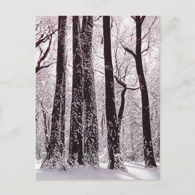 SKOG SNÖIG VINTERSCENERI  VYKORT (Framsida)