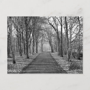 Skog, svart/vitt vykort
