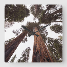 skog, träd fyrkantig klocka