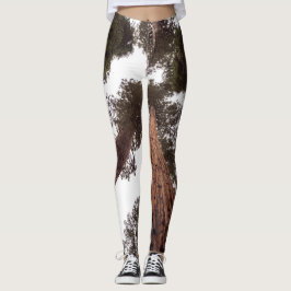 skog, träd leggings