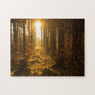 Skog under höst Baden Württemberg, Tyskland Pussel