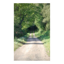 Skog väg eller smuts på land