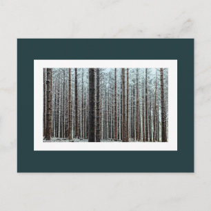 Skog Vykort