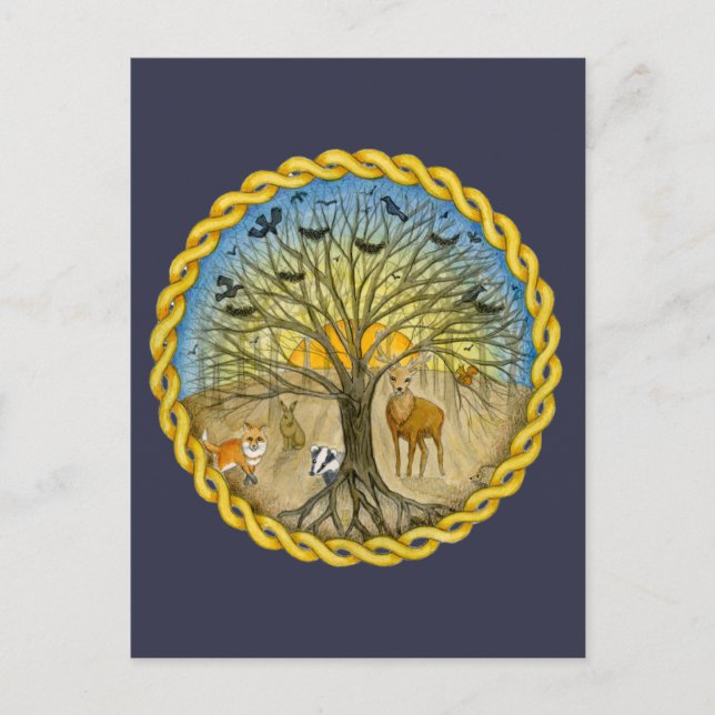 Skog Vykort (Framsida)