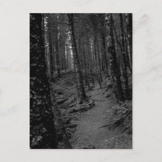 Skog Vykort