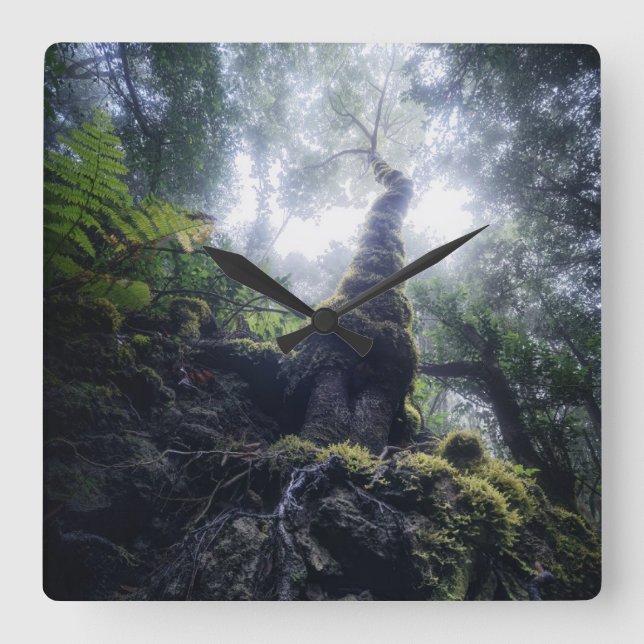 Skogar | Anaga Rural Park Kanarieöarna Fyrkantig Klocka (Framsida)