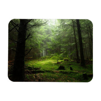Skogar | Auvergne Frankrike Magnet