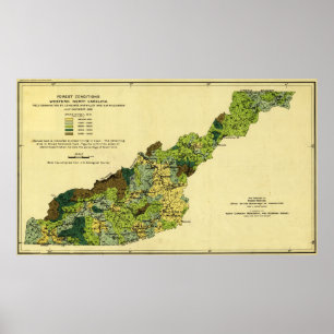 Skogar av den westerna norr CarolinaPanoramic Poster