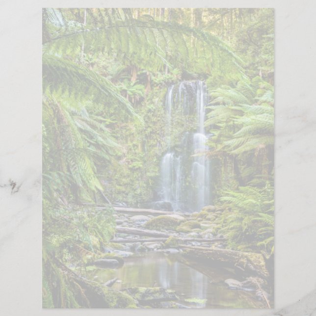 Skogar | Beauchamp Falls Australien (Framsida)