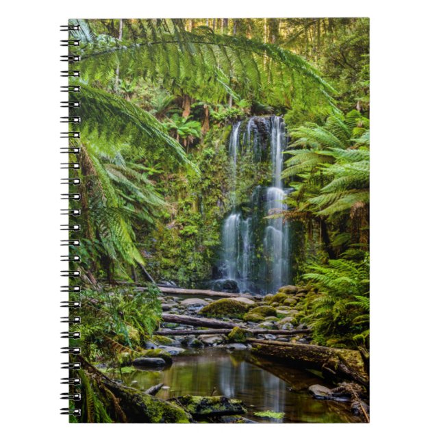 Skogar | Beauchamp Falls Australien Anteckningsbok (Framsidan)