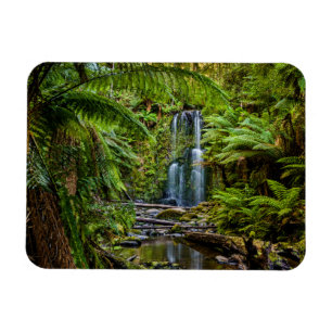 Skogar Beauchamp Falls Australien Magnet