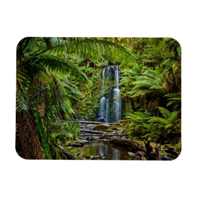 Skogar | Beauchamp Falls Australien Magnet (Horisontell)