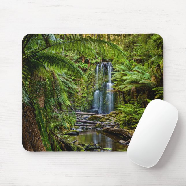 Skogar | Beauchamp Falls Australien Musmatta (Med mus)