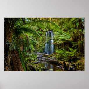 Skogar Beauchamp Falls Australien Poster