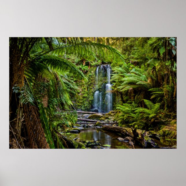 Skogar | Beauchamp Falls Australien Poster (Framsidan)