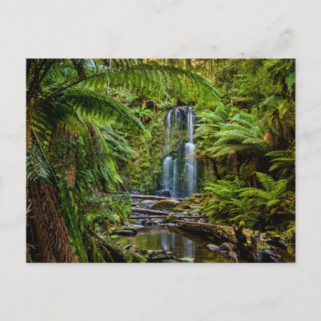 Skogar | Beauchamp Falls Australien Vykort (Framsida)