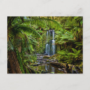 Skogar Beauchamp Falls Australien Vykort