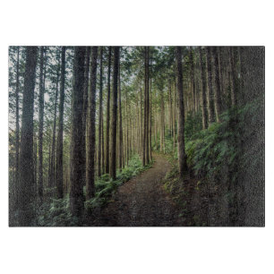 Skogar Berg i Wakayama Japan