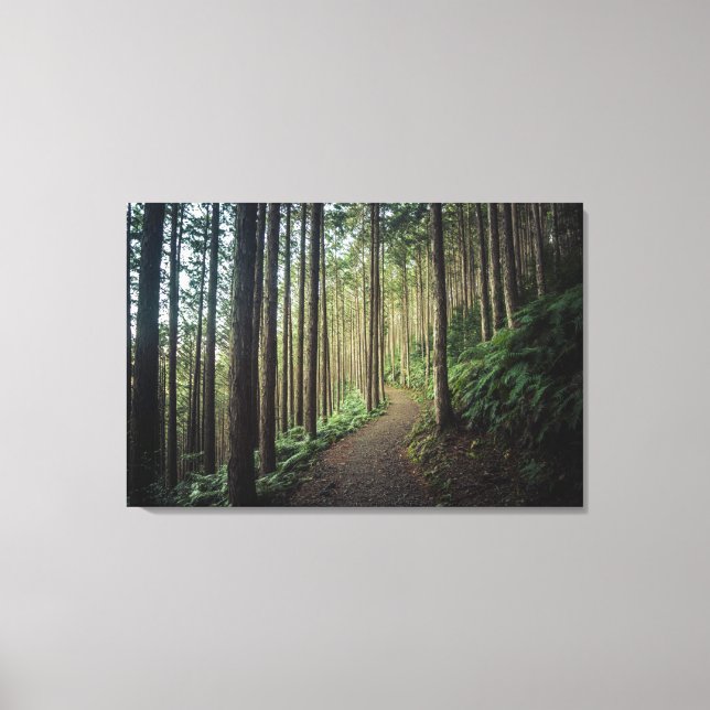 Skogar | Berg i Wakayama Japan Canvastryck (Framsida)