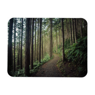 Skogar Berg i Wakayama Japan Magnet
