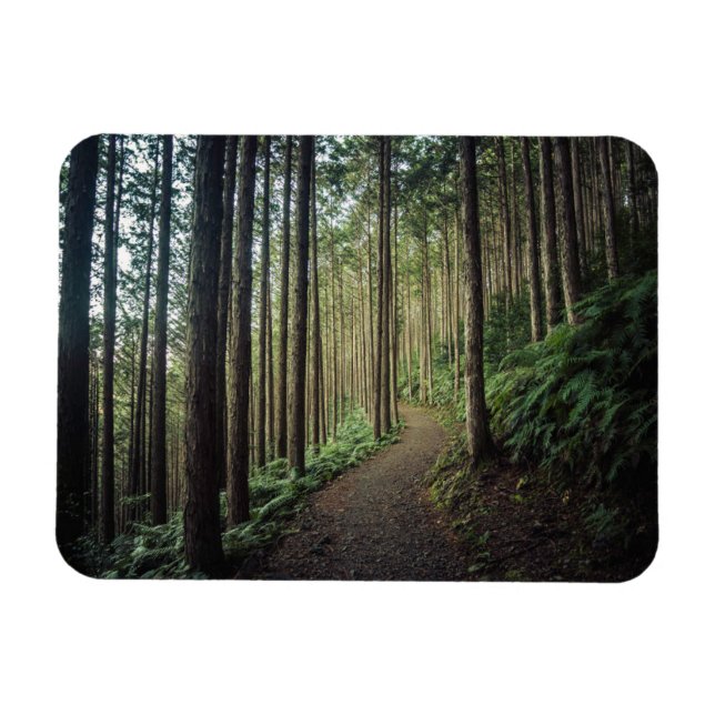 Skogar | Berg i Wakayama Japan Magnet (Horisontell)