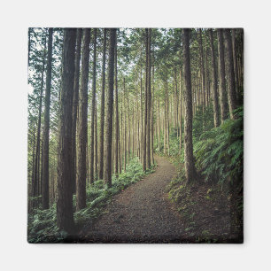 Skogar Berg i Wakayama Japan Magnet
