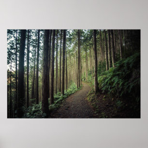 Skogar Berg i Wakayama Japan Poster