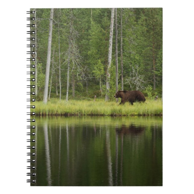 Skogar | Björn i Taiga Forest Northern Finland Anteckningsbok (Framsidan)