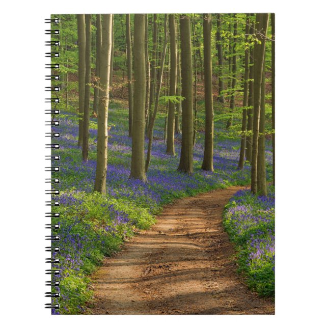 Skogar | Bluebell Forest i Belgien Anteckningsbok (Framsidan)