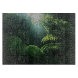 Skogar Ferns i regnskog