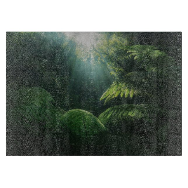 Skogar | Ferns i regnskog (Framsidan)