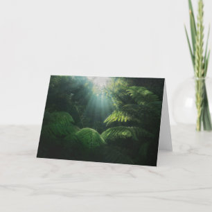 Skogar Ferns i regnskog Kort