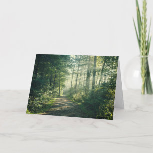 Skogar Forest Väg Hamburg Tyskland Kort